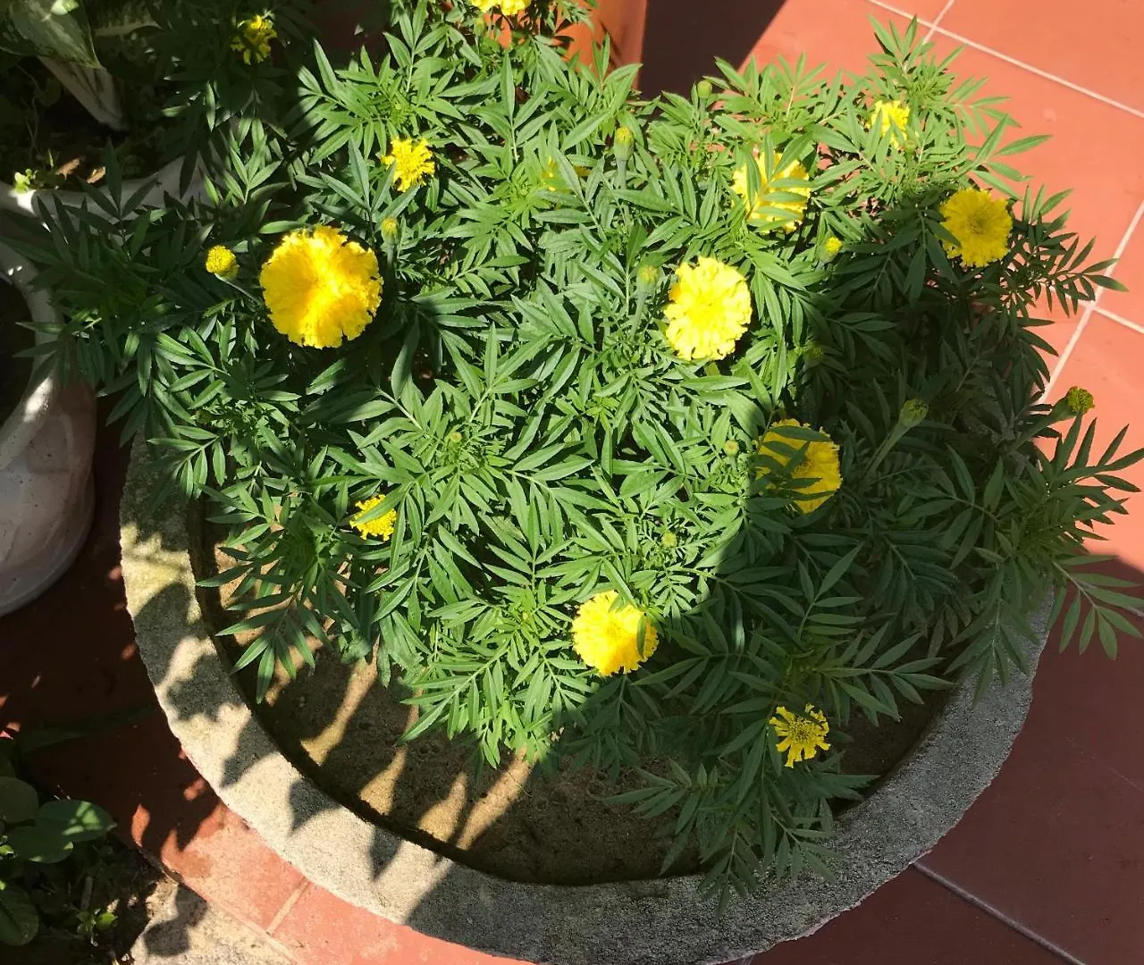 An Bang Golden Beach Villa Hoi An