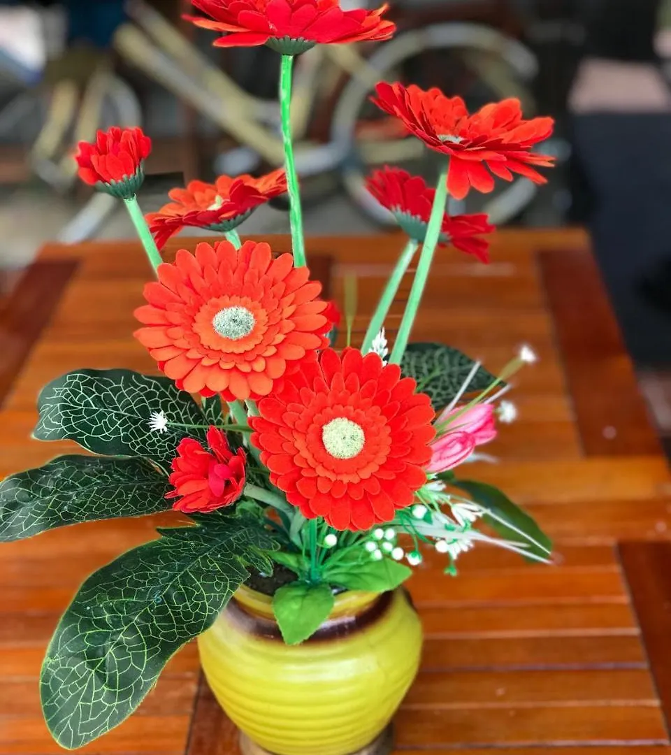 An Bang Golden Beach Villa Hoi An
